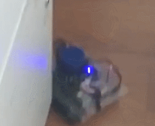捕獲.PNG